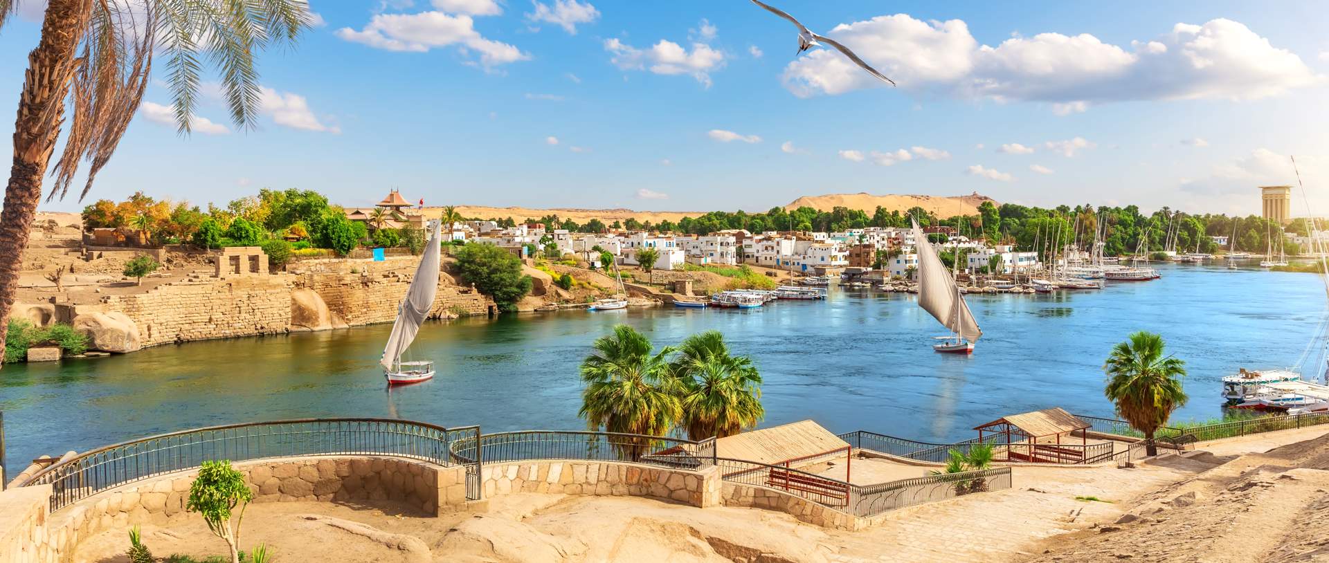 Shutterstock 2146983675