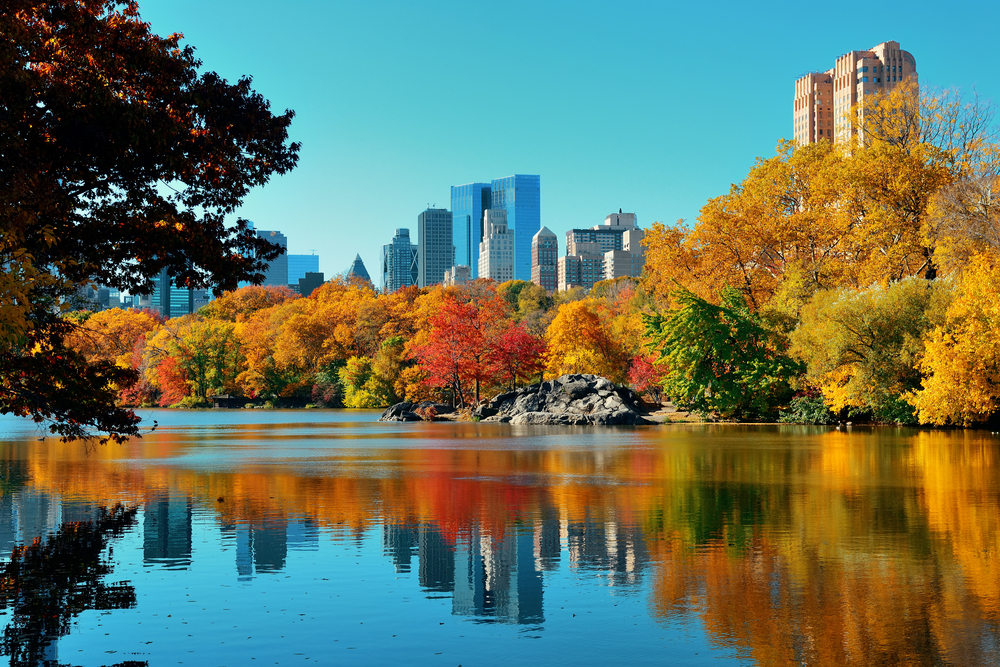 Central Park In Autumn, New York