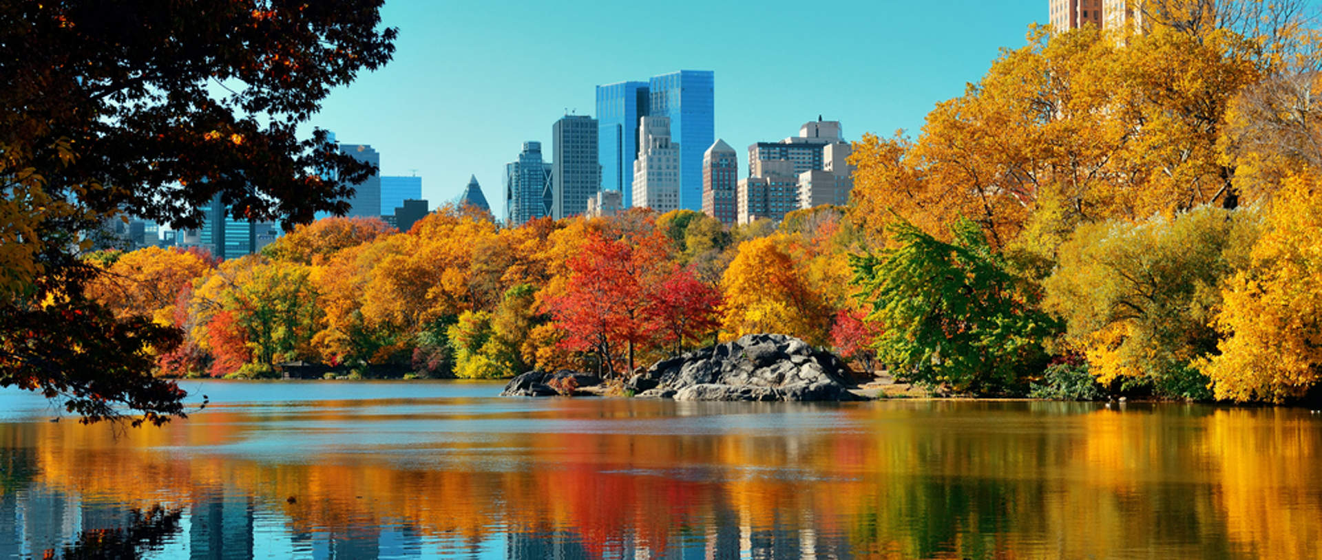 Central Park In Autumn, New York