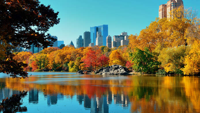 Central Park In Autumn, New York