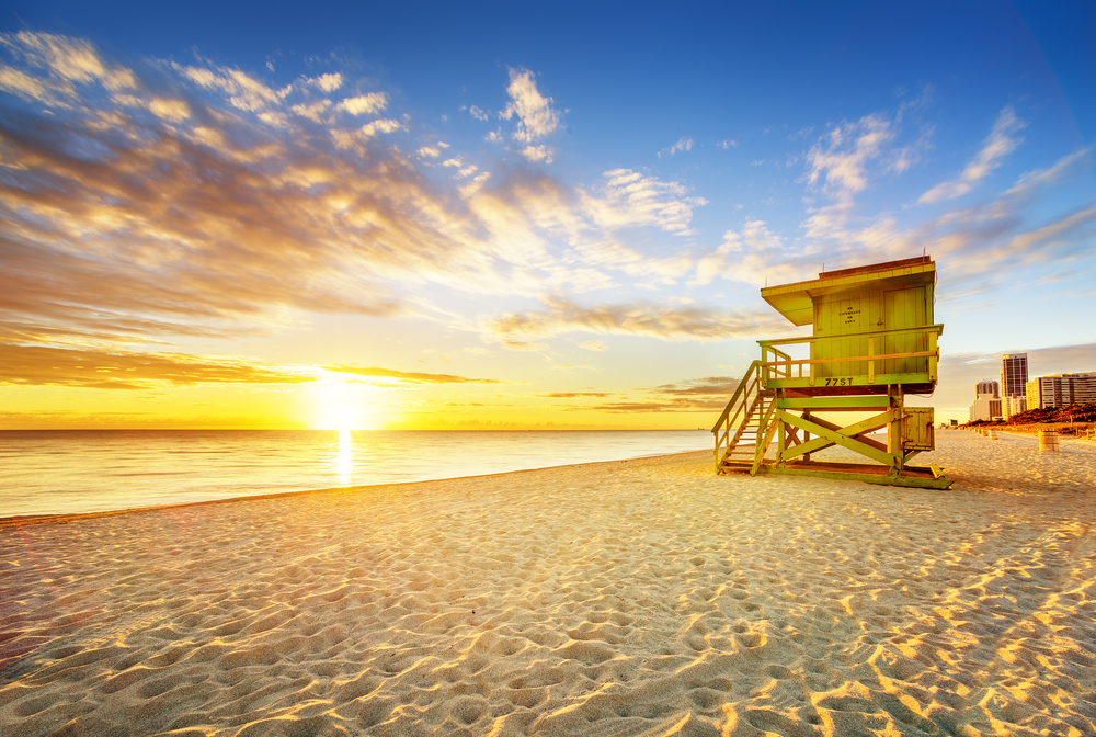 Shutterstock 206500615 (1)