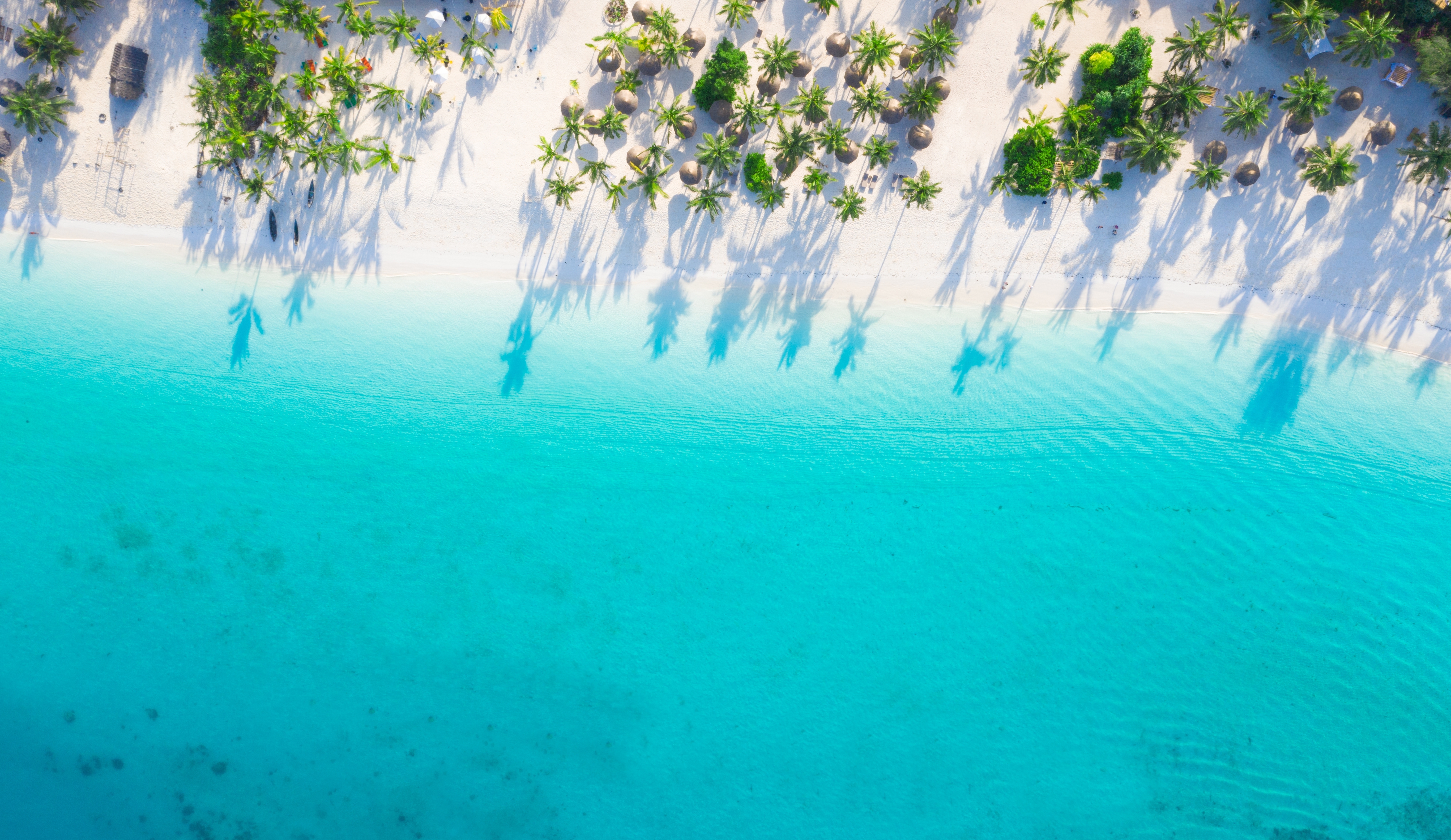 Zanzibar Tropical Beach Hero