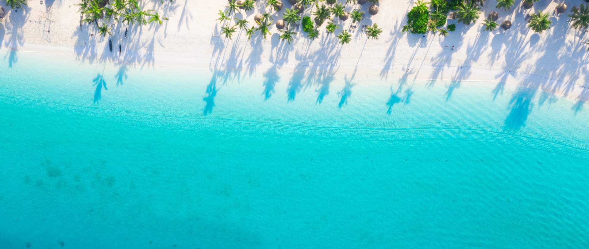 Zanzibar Tropical Beach Hero