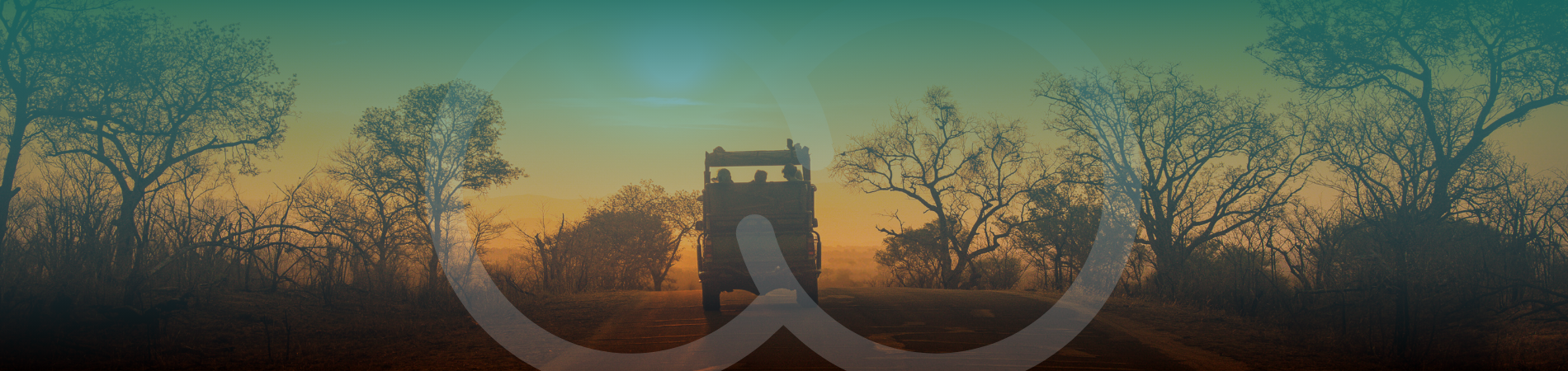 Coho Homepage Peaks Touring Hero