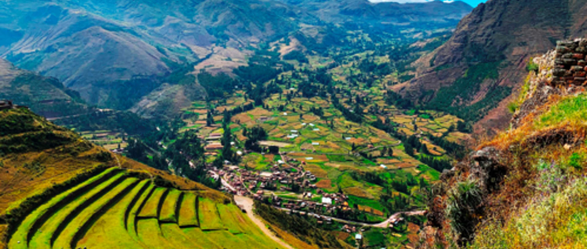 Shutterstock 1800822496 (1)