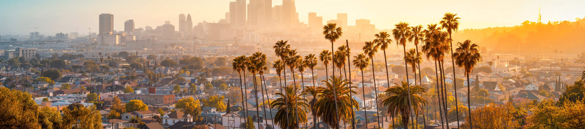 Los Angeles Skyline