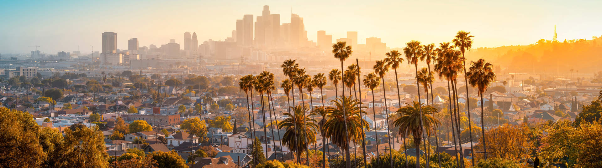 Los Angeles Skyline