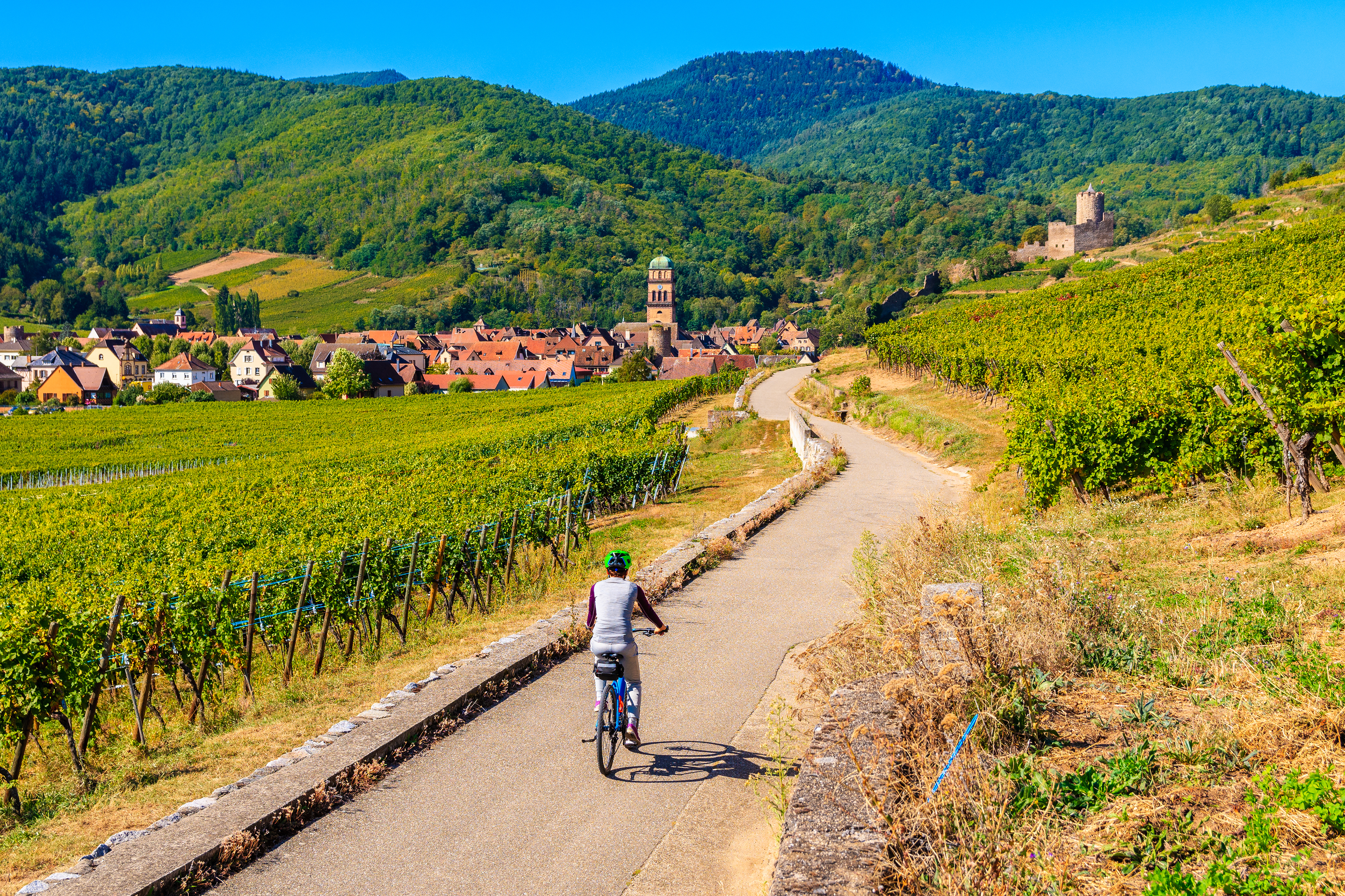 Woman Cycling Through Alsace Wine Route France