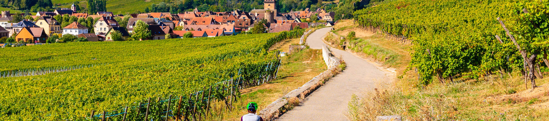 Woman Cycling Through Alsace Wine Route France
