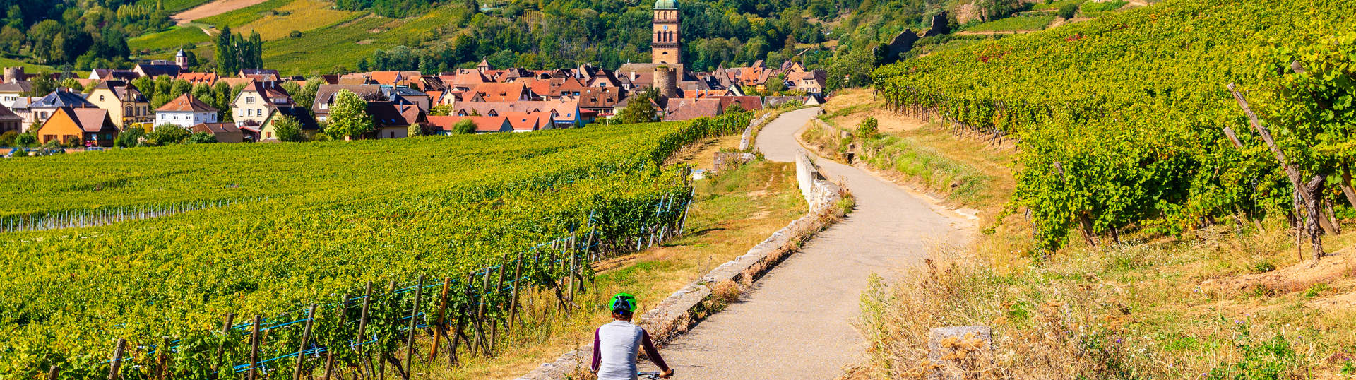 Woman Cycling Through Alsace Wine Route France