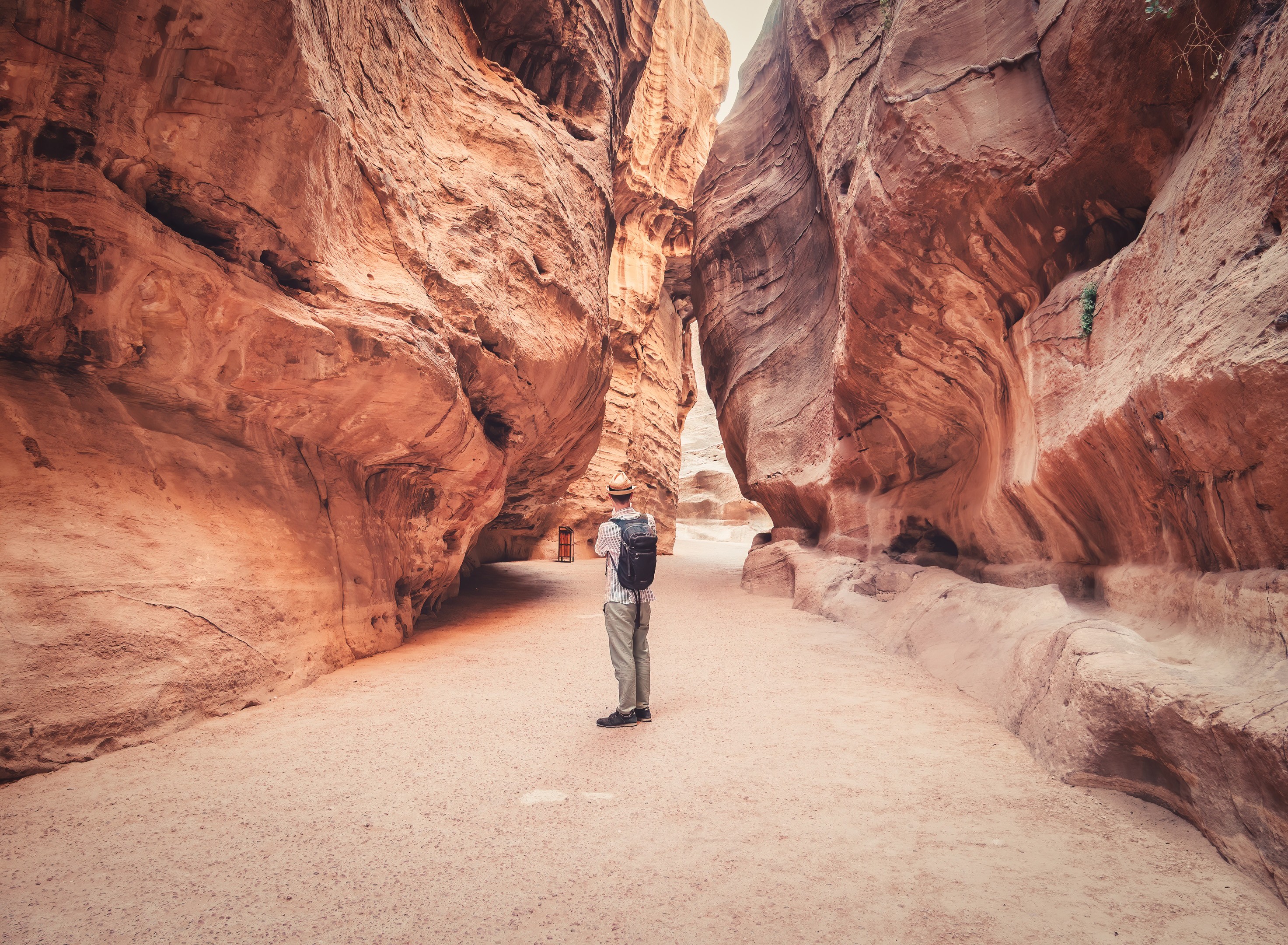 Tourist Walking Alone Through The Red Rock Walls Of The Main Road In The Ancient City Of Petra