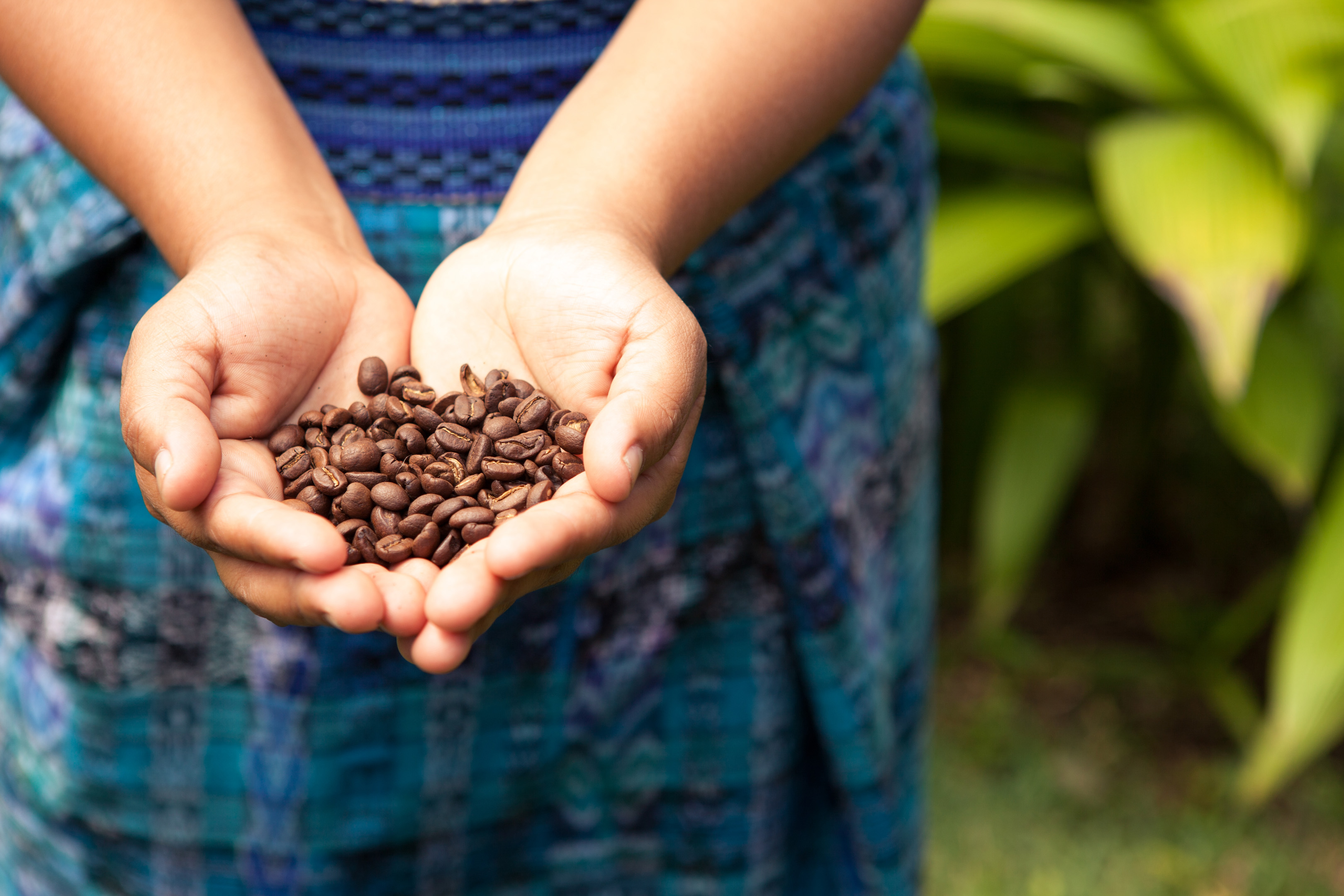 Organic Costarican Coffee Beans