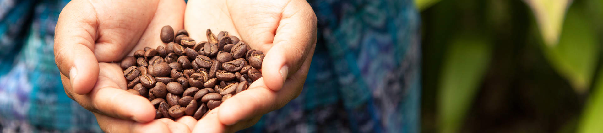 Organic Costarican Coffee Beans