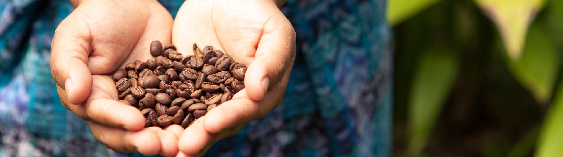 Organic Costarican Coffee Beans