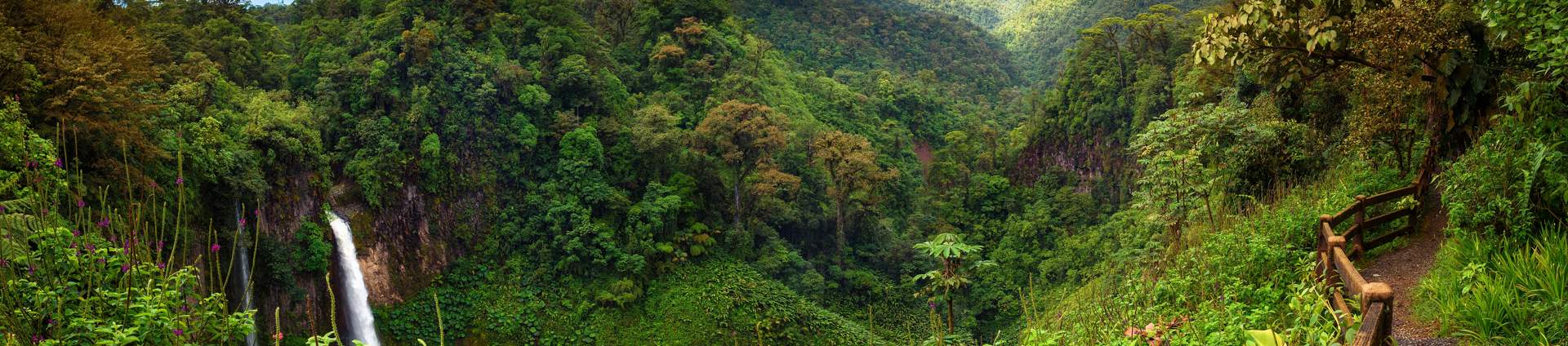 Panorama Catarata Del Toro Waterfall Costa Rica