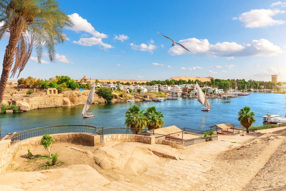 Shutterstock 2146983675 (1)