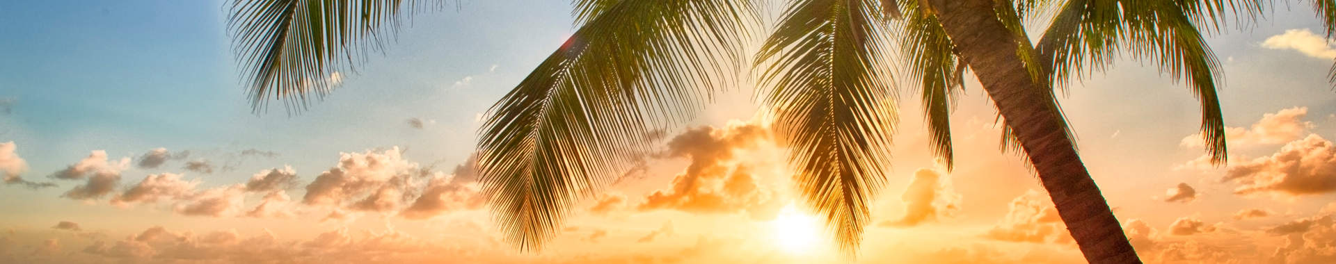 Beach Barbados Sunset Hero
