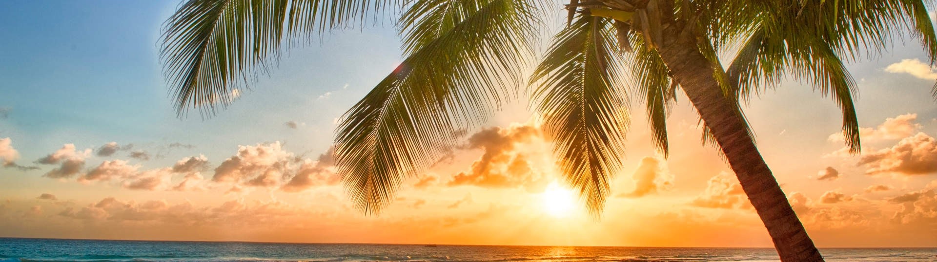 Beach Barbados Sunset Hero