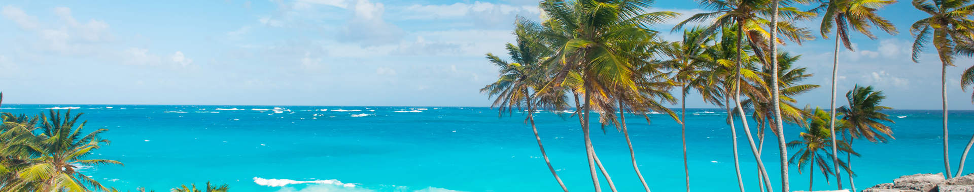Bottom Bay Beach Framed With Palm Trees Barbados