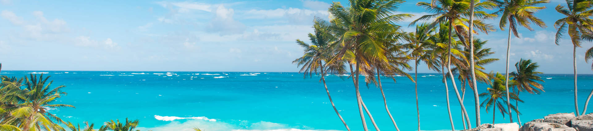 Bottom Bay Beach Framed With Palm Trees Barbados