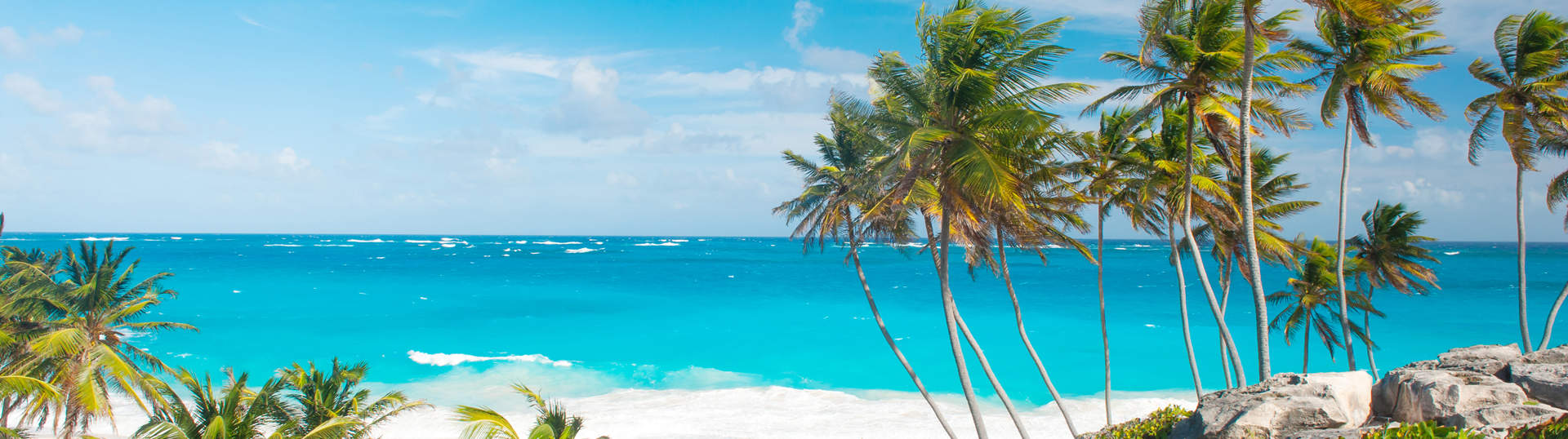 Bottom Bay Beach Framed With Palm Trees Barbados