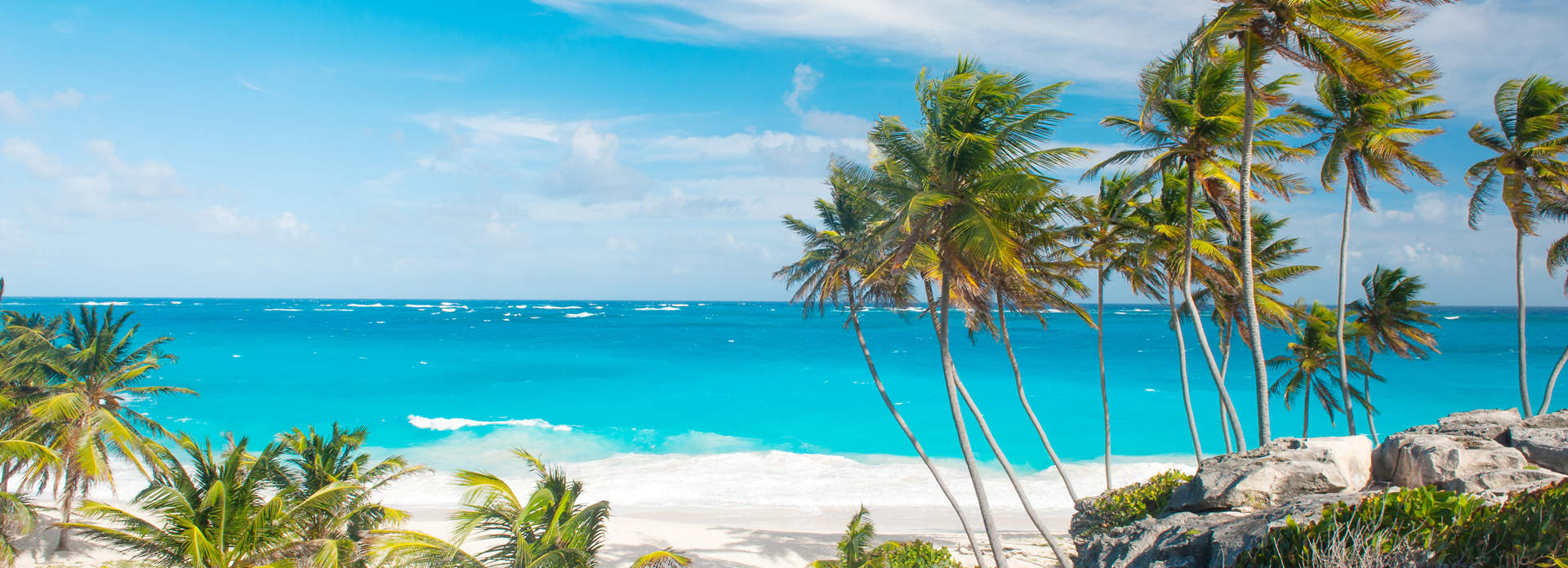 Bottom Bay Beach Framed With Palm Trees Barbados