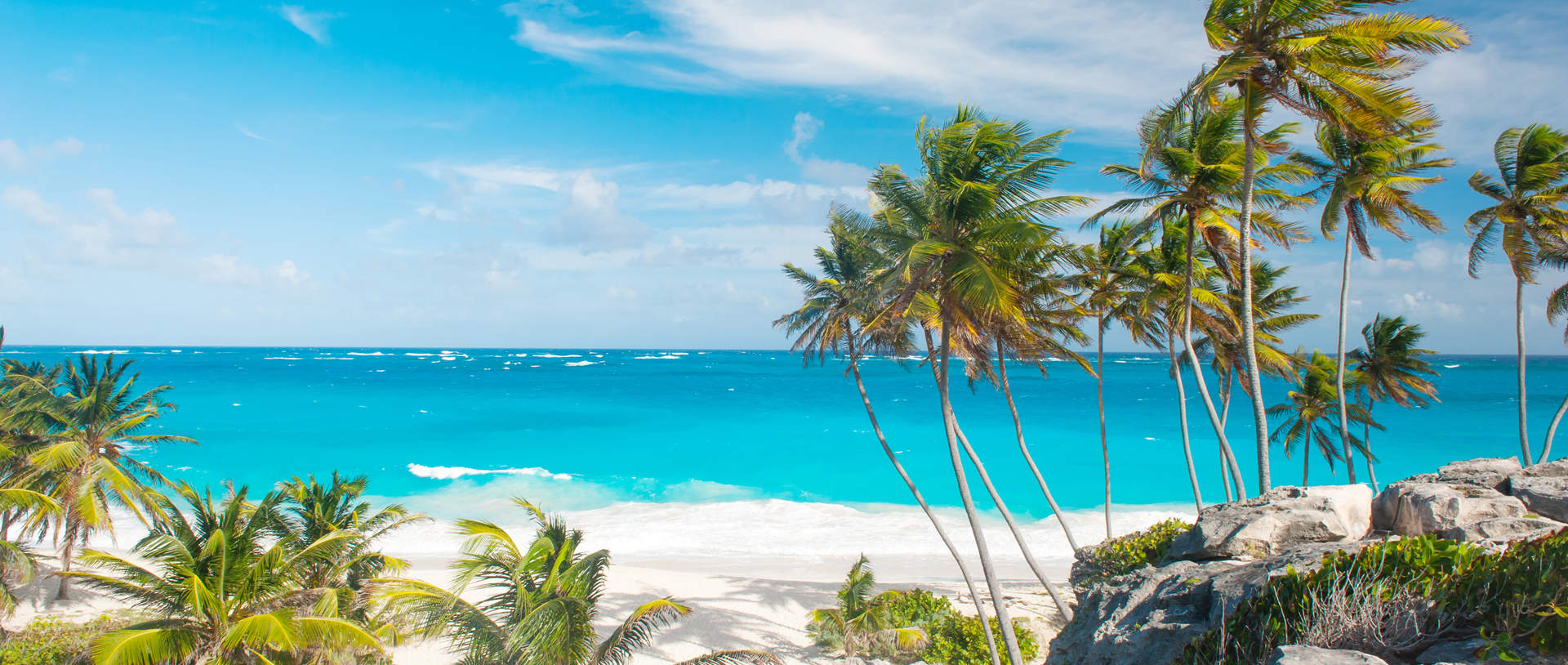 Bottom Bay Beach Framed With Palm Trees Barbados
