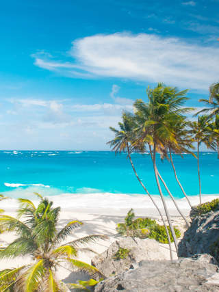 Bottom Bay Beach Framed With Palm Trees Barbados