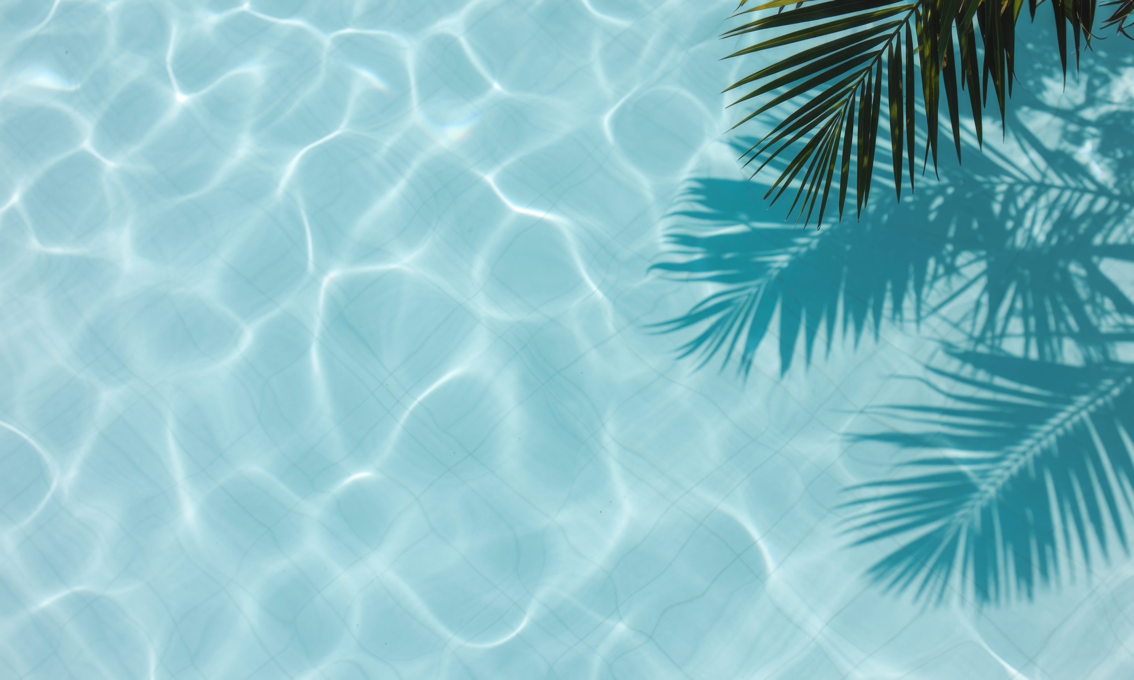 Holiday Pool Palm Tree Generic
