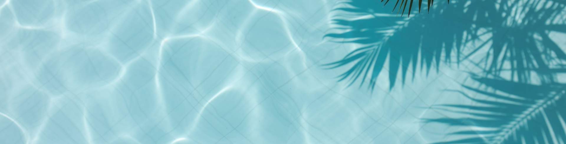 Holiday Pool Palm Tree Generic