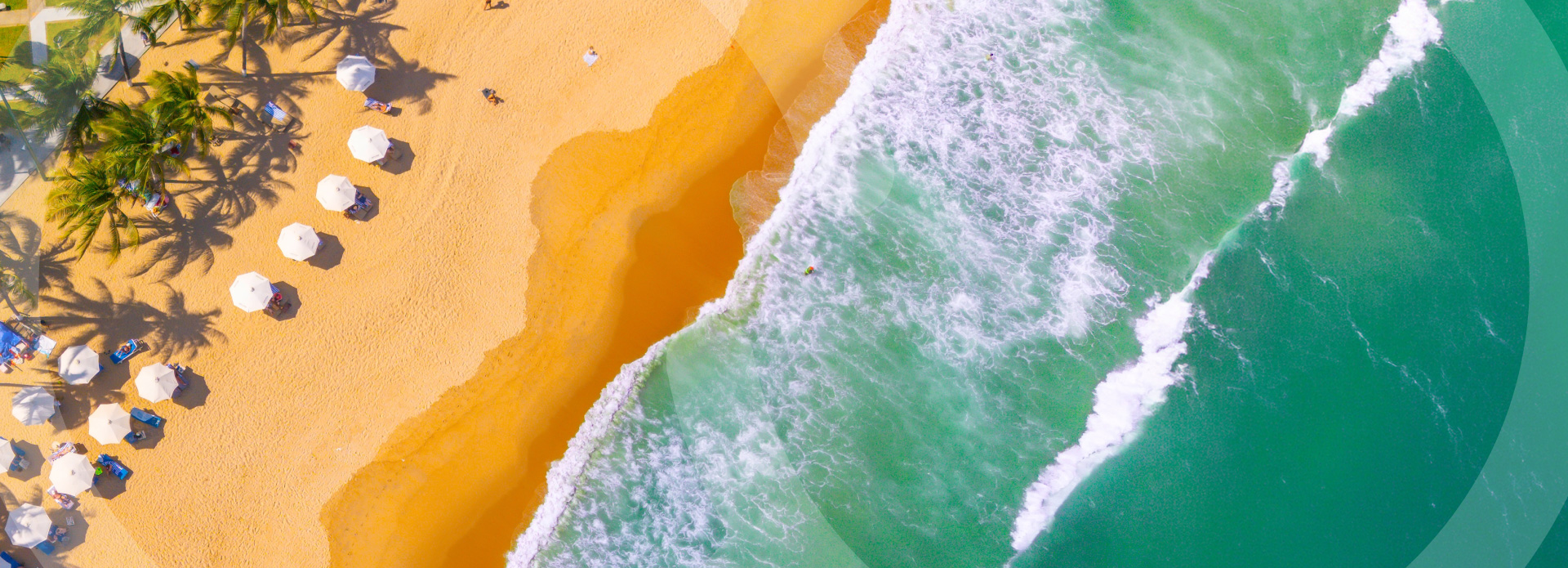 COHO Flash Sale Campaign Mar26 V2 1920X695 Landing