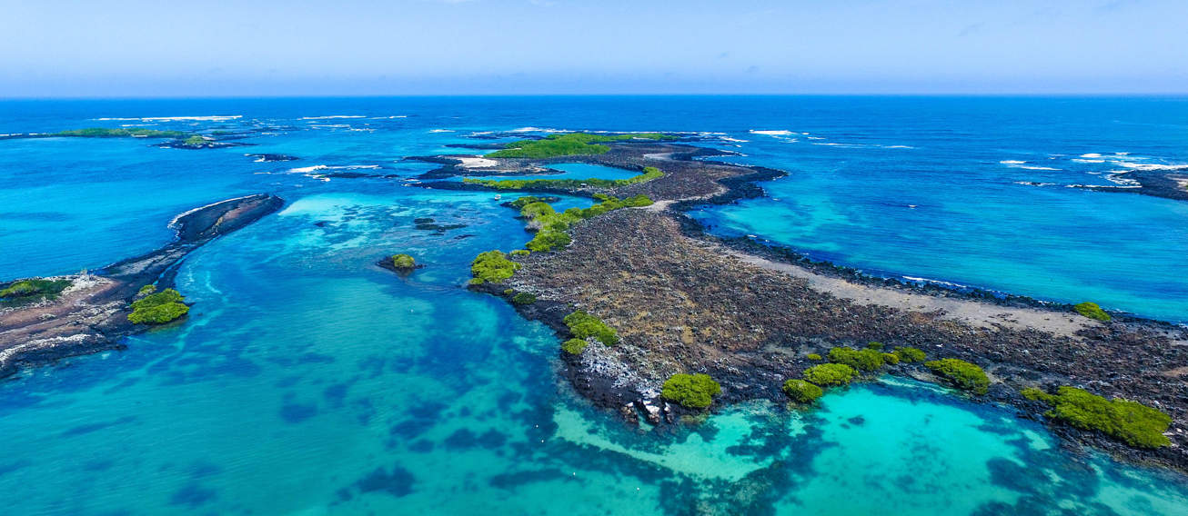 Isabel Island Galapagos