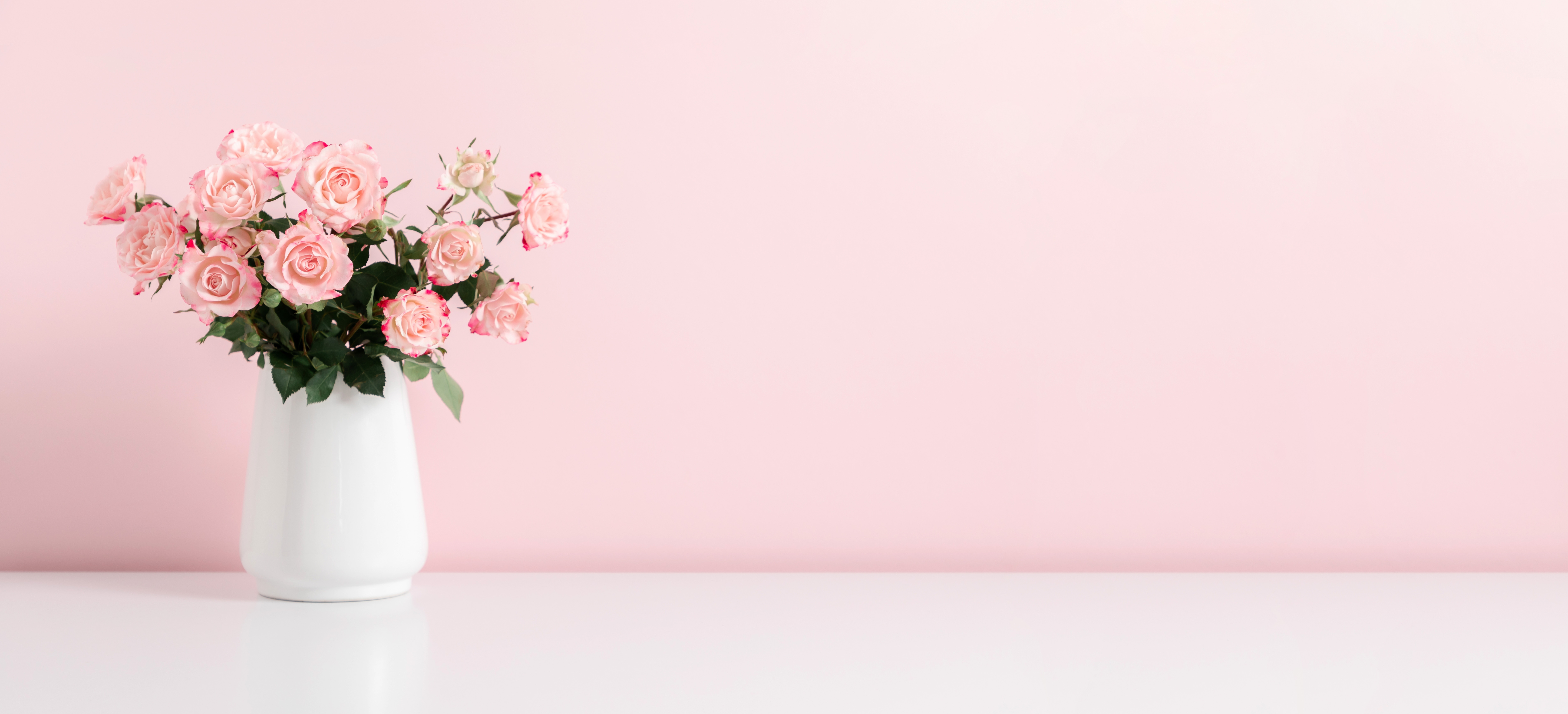 Shutterstock 2422273517