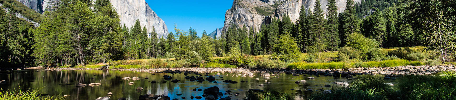 Yosemite National Park