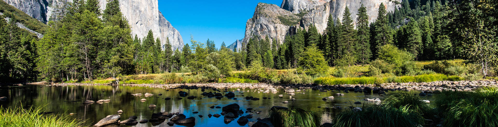 Yosemite National Park