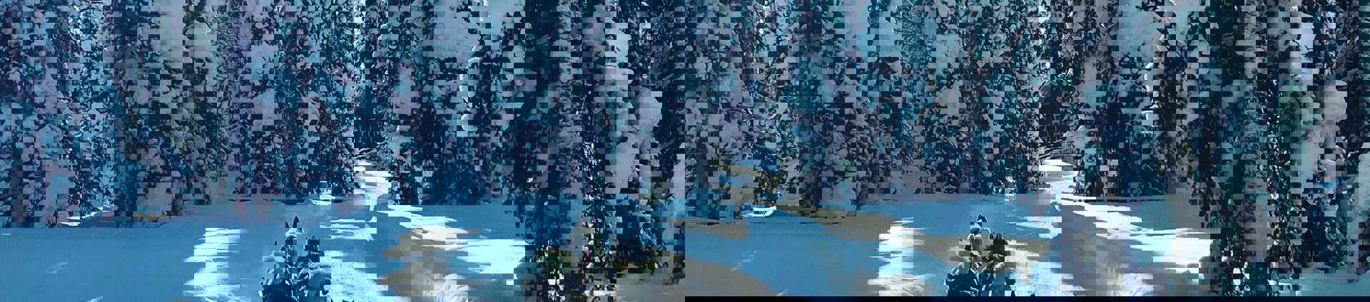 Simon Smith B4qbdlnius0 Unsplash