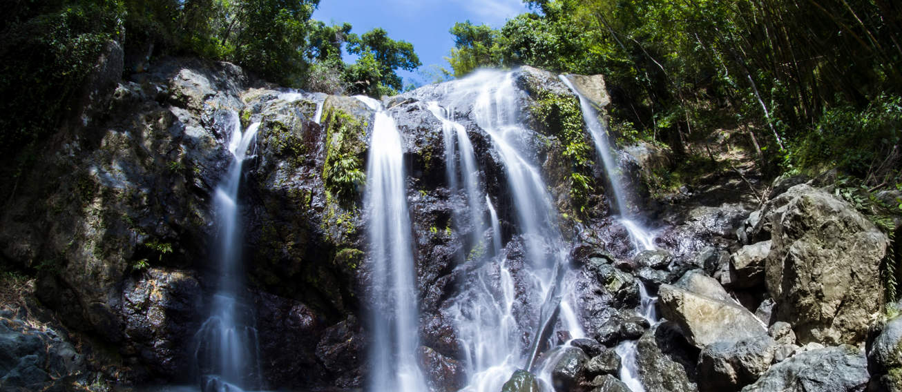 Argyle Waterfall Trinidad (1)