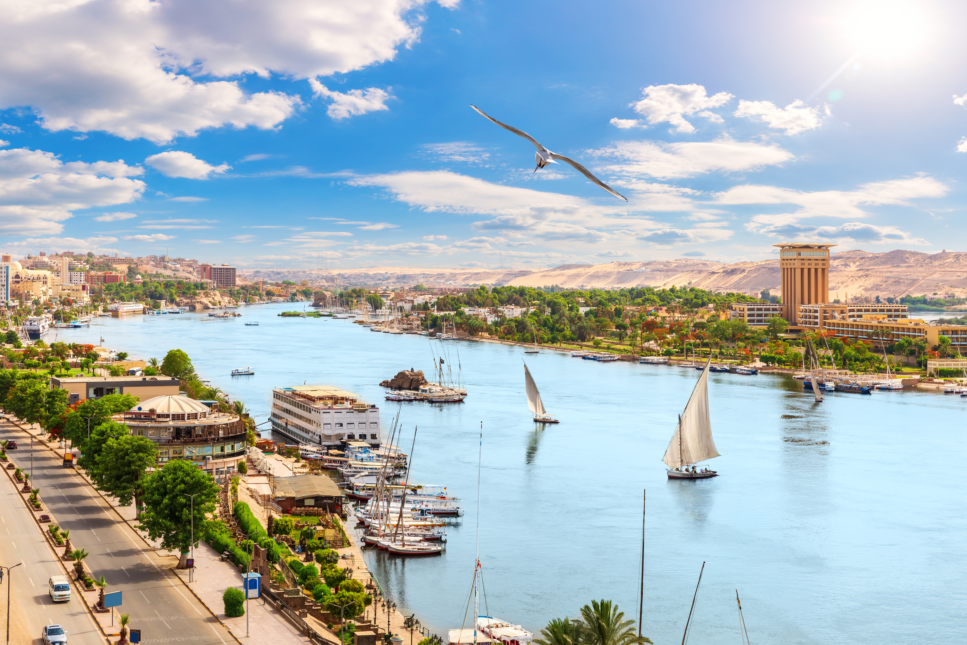 Panoramic View Of The River Nile Egypt