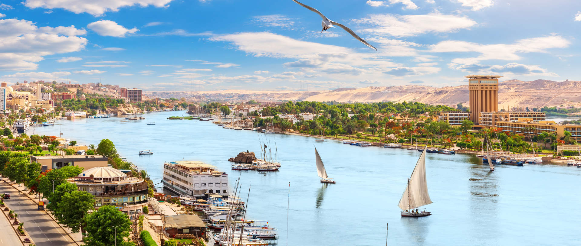 Panoramic View Of The River Nile Egypt