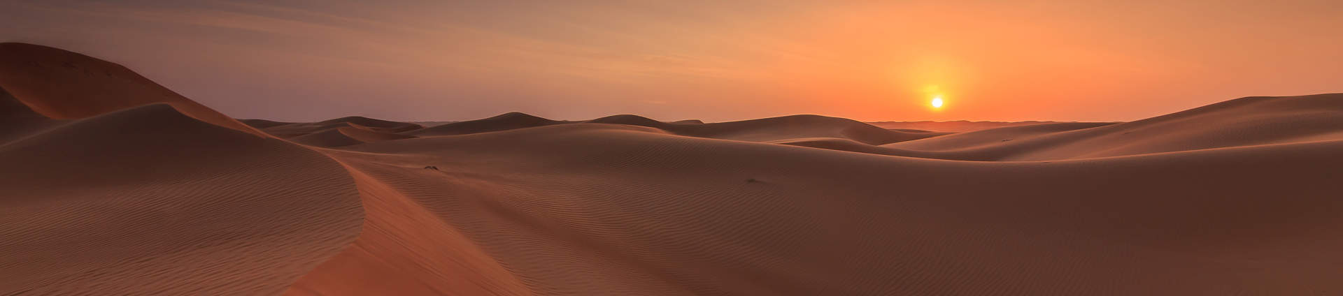 Sunset In The Wahiba Sands Desert Of The Sultanate Of Oman