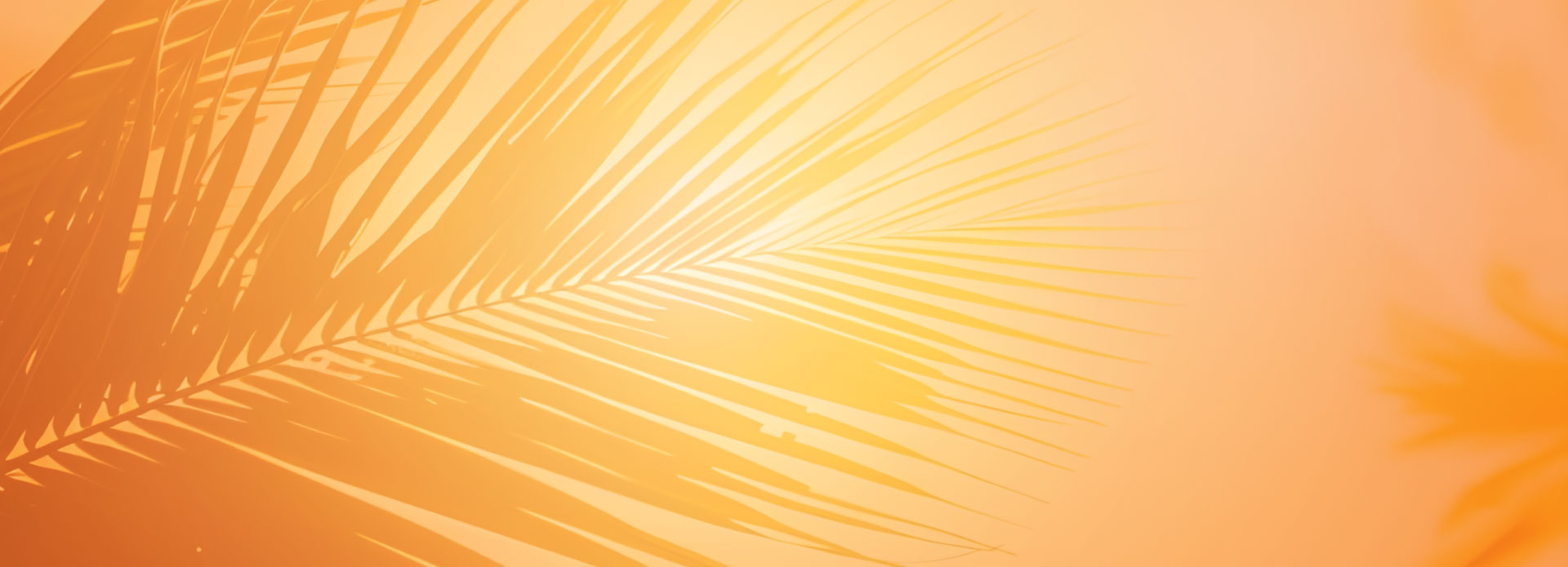 Travelcoop Summer 2027 Digital Oct26 Version1 1920X695 Homepage