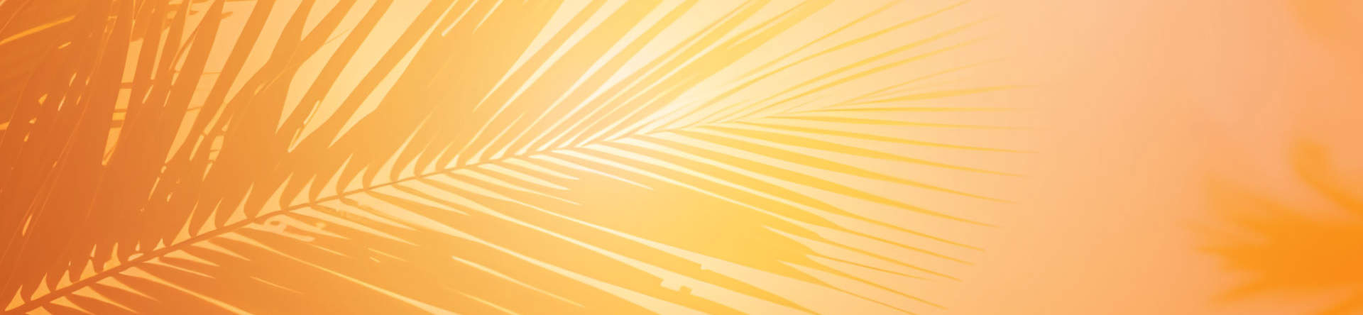 Travelcoop Summer 2027 Digital Oct26 Version1 1920X695 Homepage