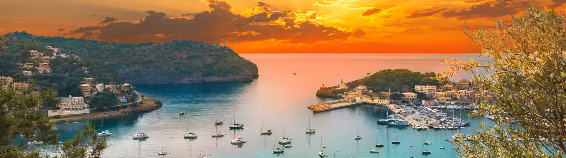 View Of Soller Port Marina And Dockland Majorca