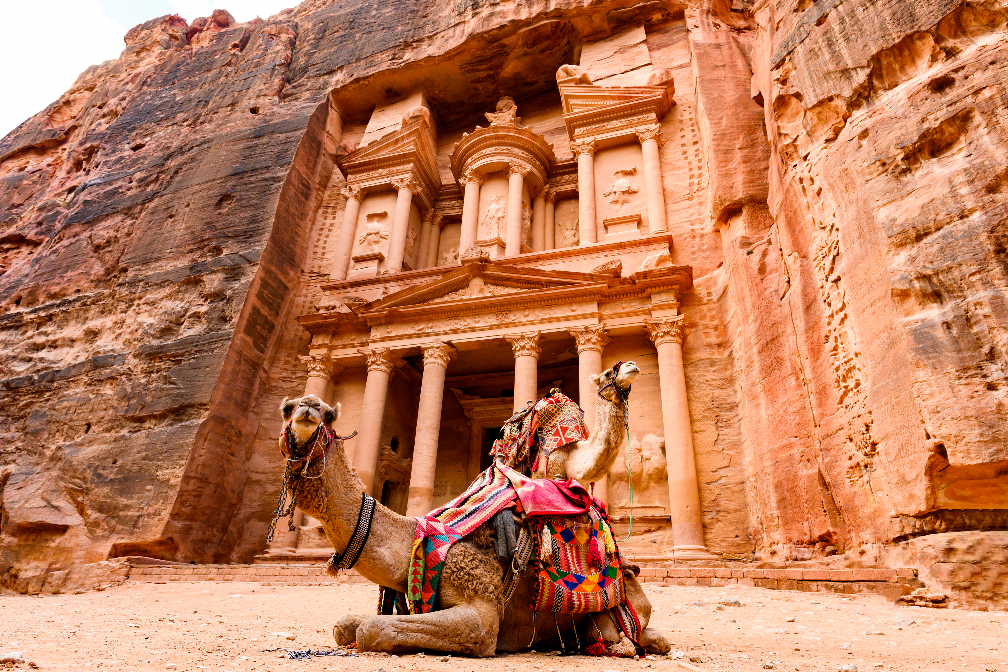 Two Camels In Front Of The Treasury Petra Jordan