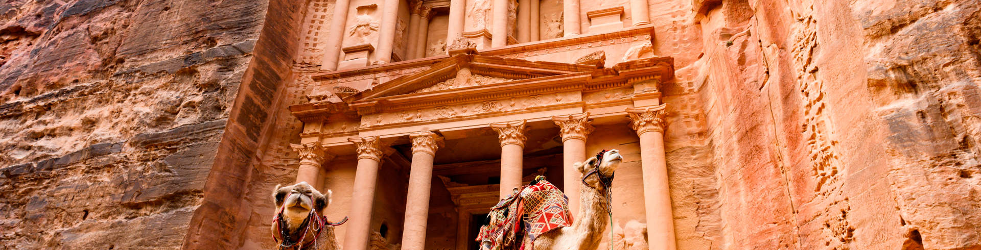 Two Camels In Front Of The Treasury Petra Jordan