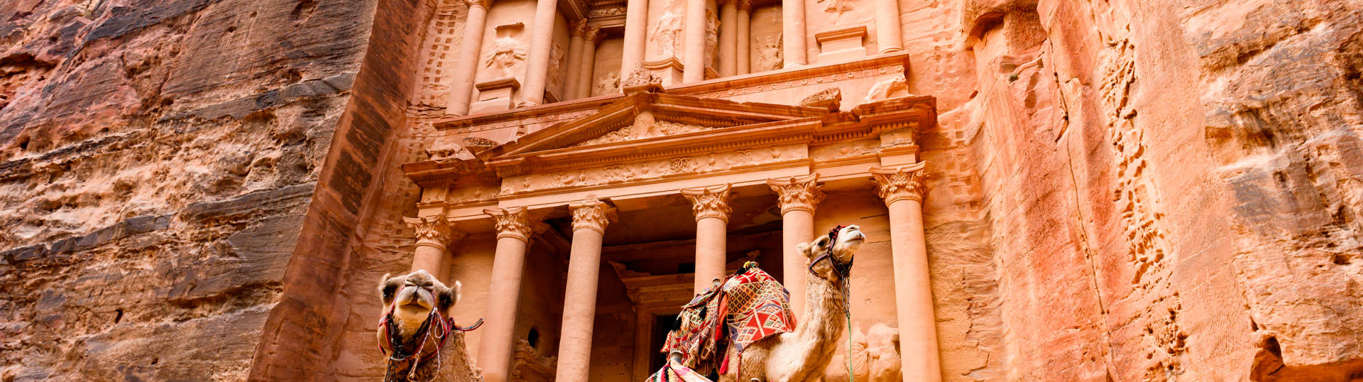 Two Camels In Front Of The Treasury Petra Jordan