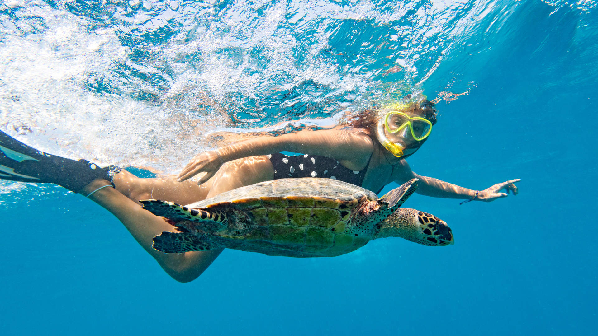Girl Snorkelling With Sea Turtle Maldives