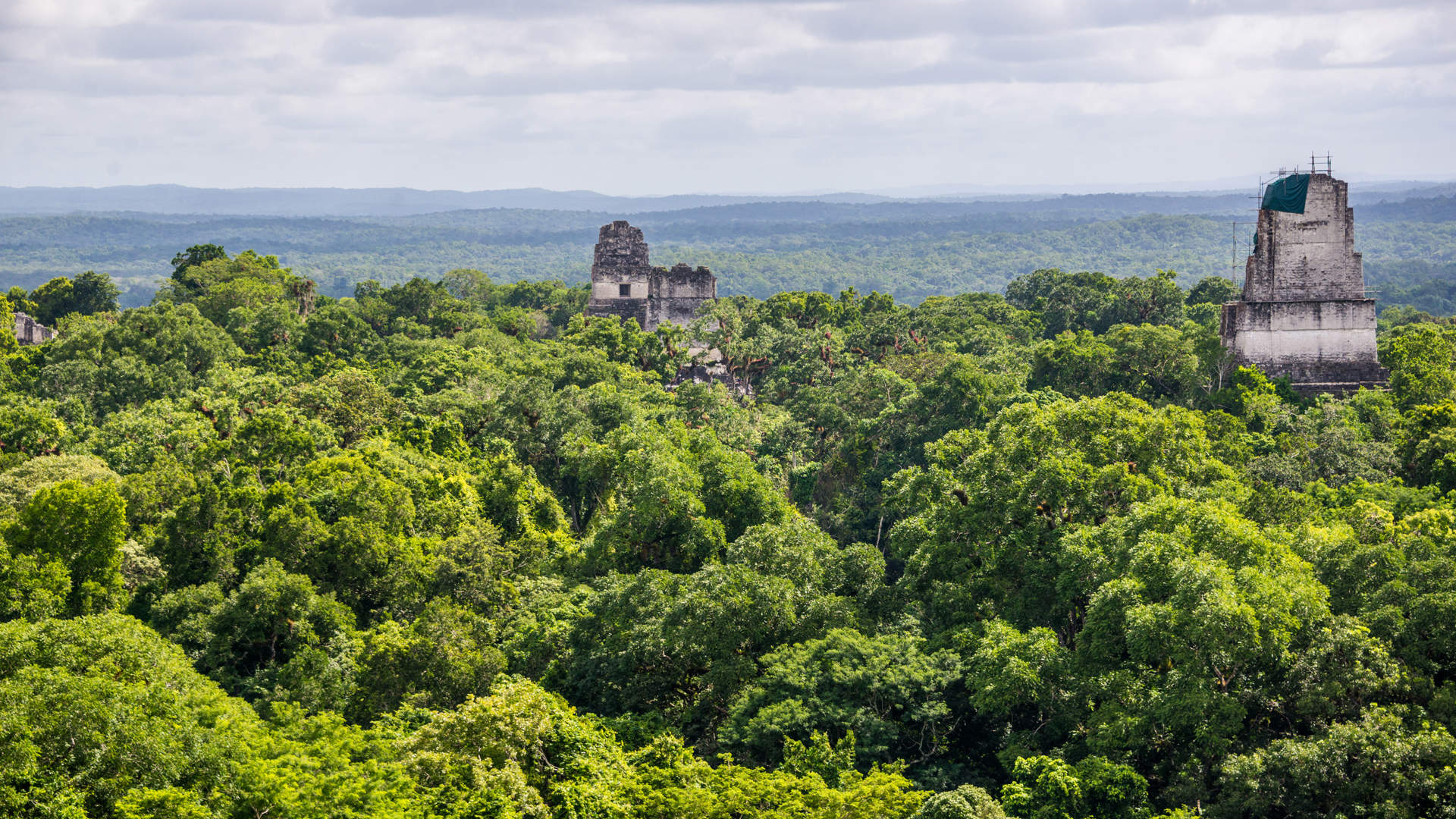 Panorama Of Tikal National Park Guatemala