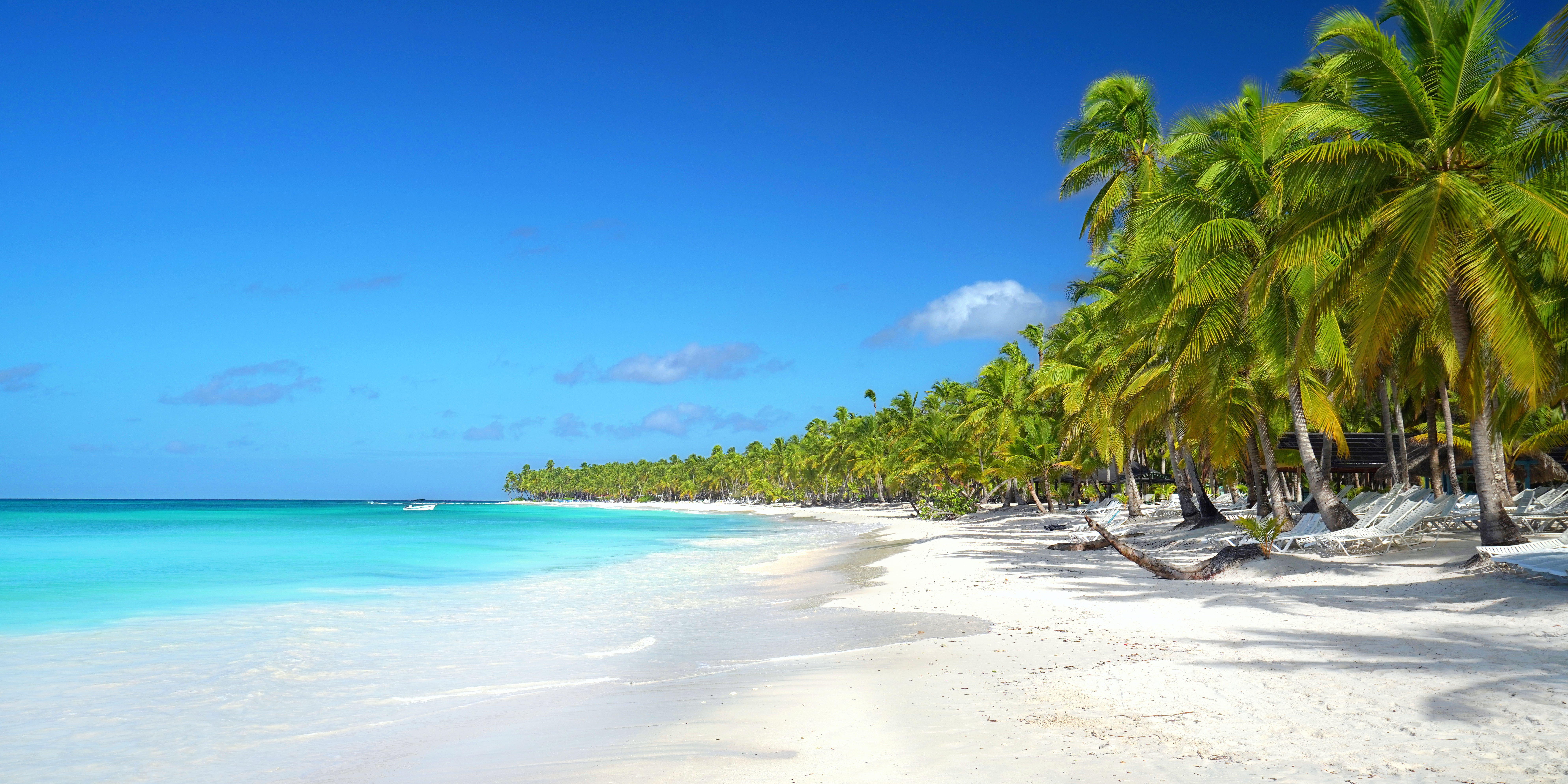 Caribbean Beach Scene Hero