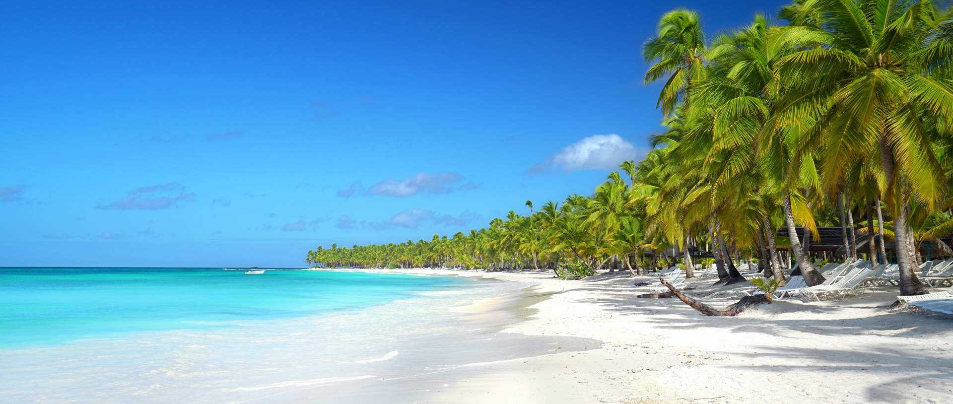 Caribbean Beach Scene Hero